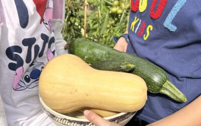 Du jardin à l&rsquo;assiette : une journée gourmande